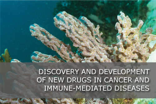 Discovery and development of new drugs in cancer and immune-mediated diseases.